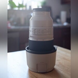 Sony 100-400mm GM Lens E-mount